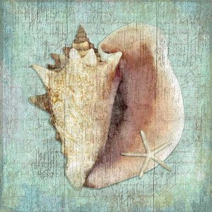 Beach Wall Decor Conch Shell Wood Print