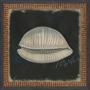 Vintage Seashell 2 Framed Art - By the Sea Beach Decor