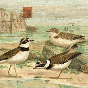 Sandpiper Beach Decor Wooden Print Artwork - By the Sea Beach Decor