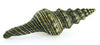 Small Spindel Shell Beach Decor Cabinet Pull - By the Sea Beach Decor