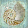 Serene Conch Shell Wood Print - By the Sea Beach Decor