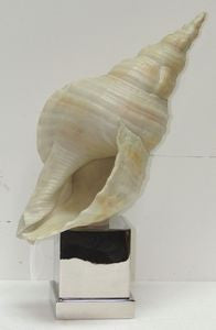 Shell & Nickel Sculpture - By the Sea Beach Decor