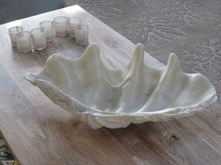 Beach Decor Accents Faux Clam Shell