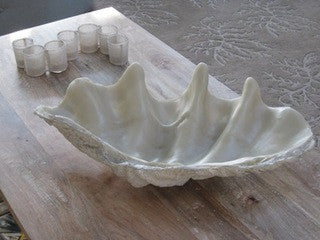 Faux Clam Shell - By the Sea Beach Decor