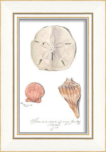 Beach Time Three Shells Framed Art - By the Sea Beach Decor