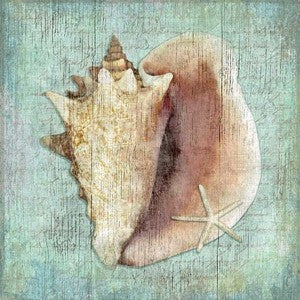 Serene Conch Shell Wood Print - By the Sea Beach Decor