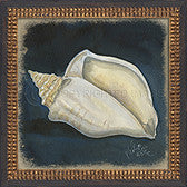 Vintage Seashell 4 Framed Art - By the Sea Beach Decor