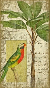 Parrot I Tropical Decor Wood Print - By the Sea Beach Decor