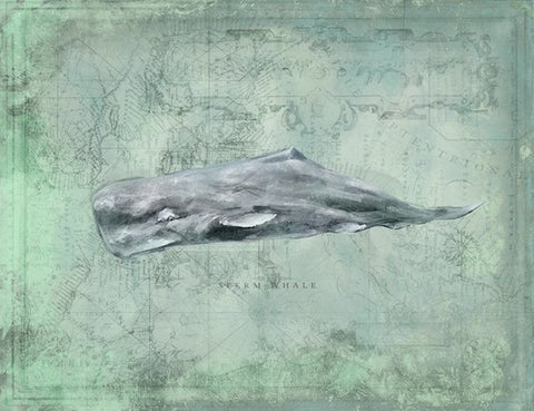 Harbor Island Sperm Whale - By the Sea Beach Decor