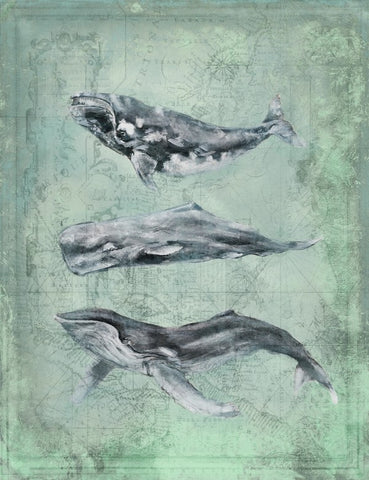 Harbor Island Three Whales - By the Sea Beach Decor