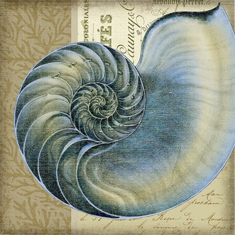 Indigo Shell 1 Wooden Artwork Print - By the Sea Beach Decor